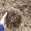 Our Cedar Mulch is made from pure cedar to give that special golden look to any garden plus the added bonus of the cedar aroma. It starts as a blonde colour but can turn silver as it ages. As with all mulches, Cedar Mulch is a wonderful garden cover to help reduce weed growth and retain moisture.