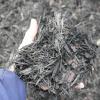 Our Black Beauty Mulch is an all natural mulch that is a combination of pine and cedar trees that has been coloured with an all natural, bold black dye. As with all mulches, Black Beauty is a wonderful garden cover that helps reduce weed growth and retain moisture.