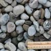 Our selection of Riverstone starts with a collection of stones that are all roughly 1" in size. This naturally smooth rock provides a natural look to any pond or waterfall. It is also useful in garden beds as a distinctive ground cover. Please note- product is not washed. May contain dirt in load.