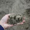 Play Sand is a clean screened sand. This sand is ideal for sand boxes and around playground equipment. This product has also become popular as a base under pool liners. 